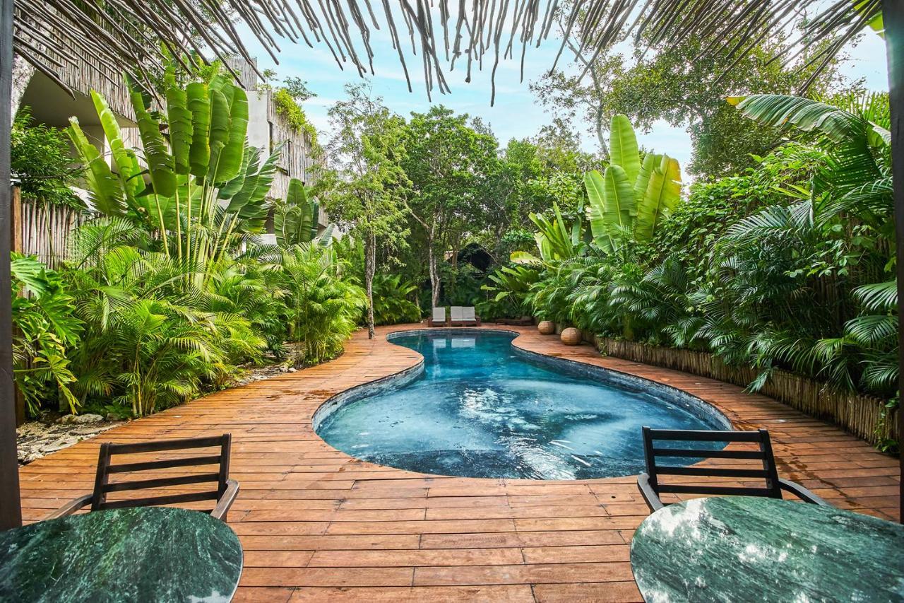 Eco-Chic Design Condos Wrapped In Nature'S Elements By Stella Rentals تولوم المظهر الخارجي الصورة