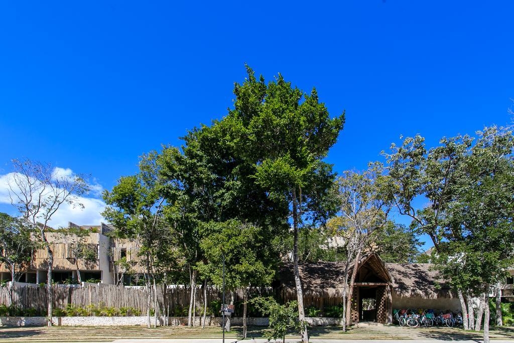 Eco-Chic Design Condos Wrapped In Nature'S Elements By Stella Rentals تولوم المظهر الخارجي الصورة